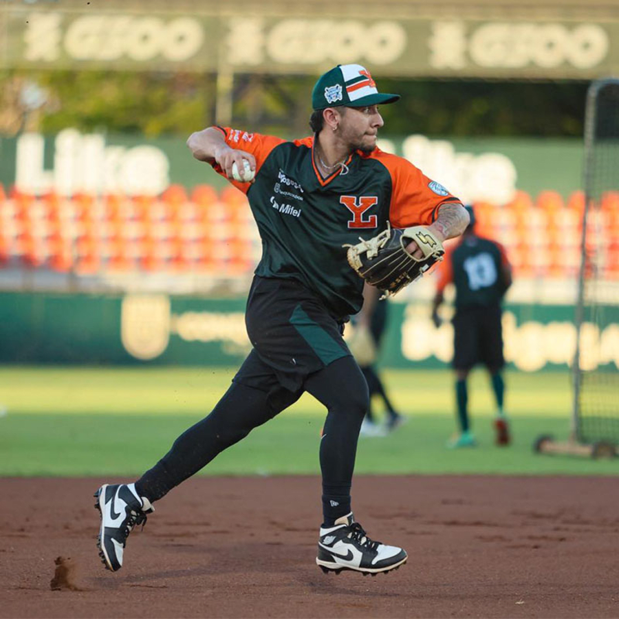 Béisbol profesional de la Liga Mexicana