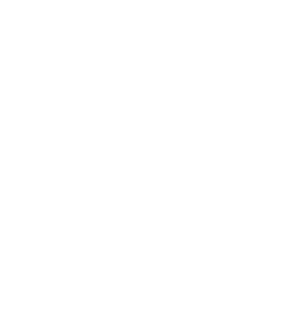 Pericos