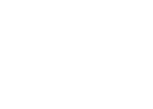 Rieleros