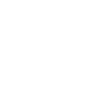 Bravos
